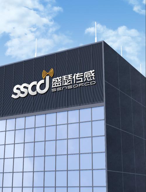 成都盛瑟傳感技術 深耕信息技術咨詢，賦能數字化轉型